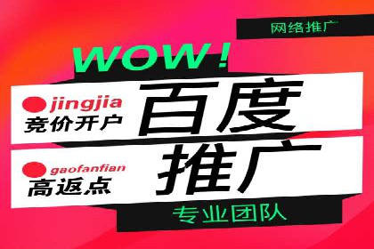 搜索引擎营销（SEM）在移动端的推广案例